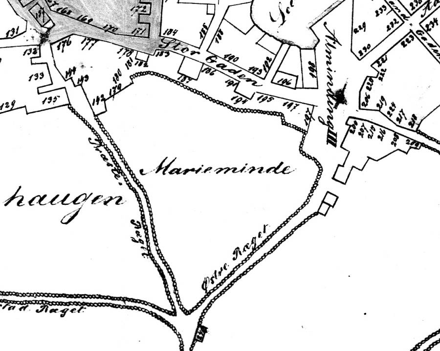 marieminde.jpg
