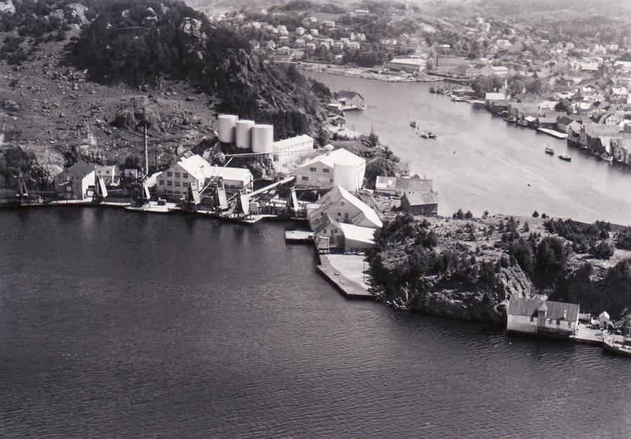 egsd-sildolje-030654-w94.jpg