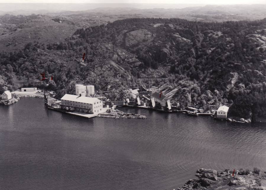 ryttervik-030654-w98.jpg