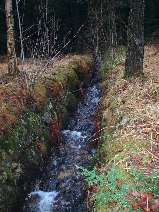 kanal-for-forstebass-1.jpg
